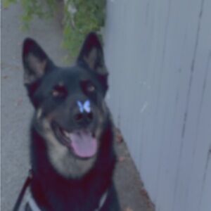 Meet your Posher, Jackie